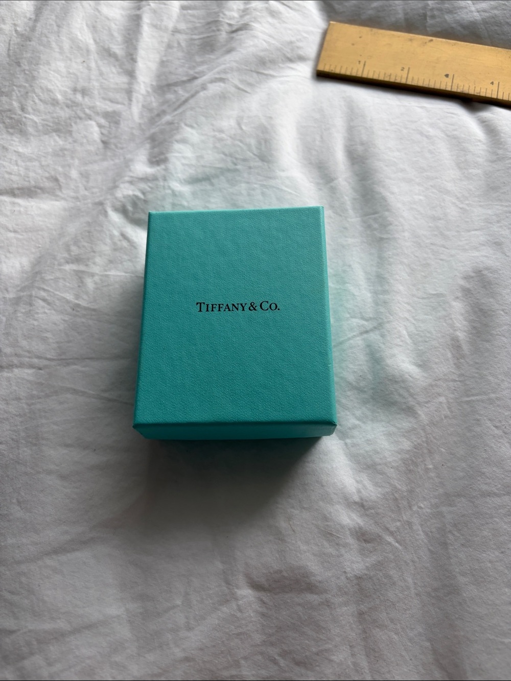 Tiffany & Co. Signature Blue Gift Box & Pouch